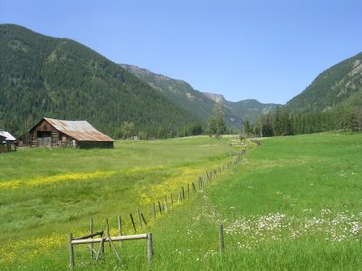 View West (North of Sparwood, Canada).